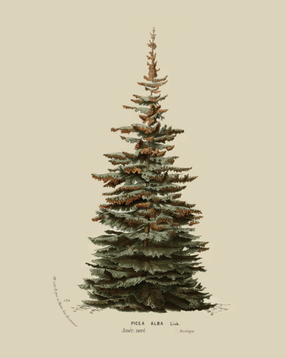 Screenshot2024 11 09at12.53.36PM vintage winter print | christmas tree