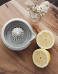 Stoneware Juicer