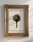 Vintage Still Life Print | Artichoke