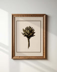 Vintage Still Life Print | Artichoke