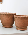 Small Terracotta Pot