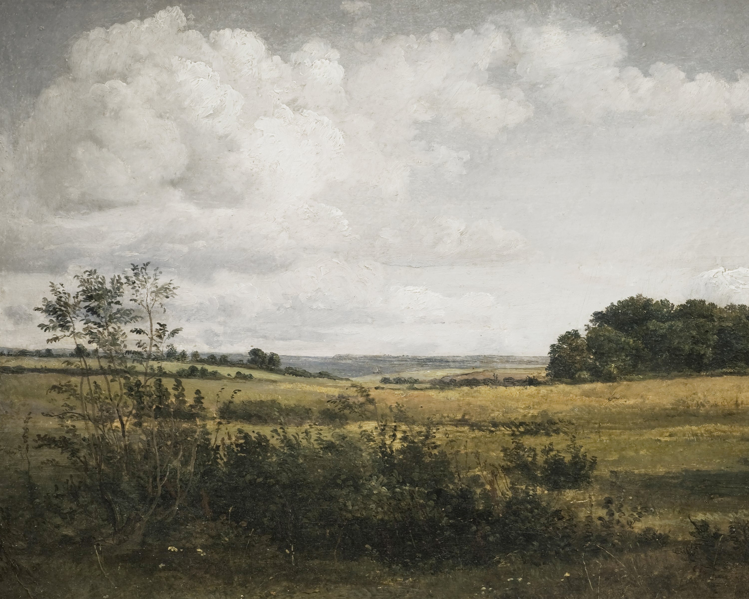 Vintage Landscape Print - Meadow