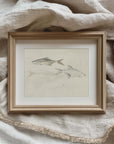 Vintage Seascape Print | Fish Trio