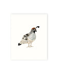 Quail Watercolour Wall Art Print