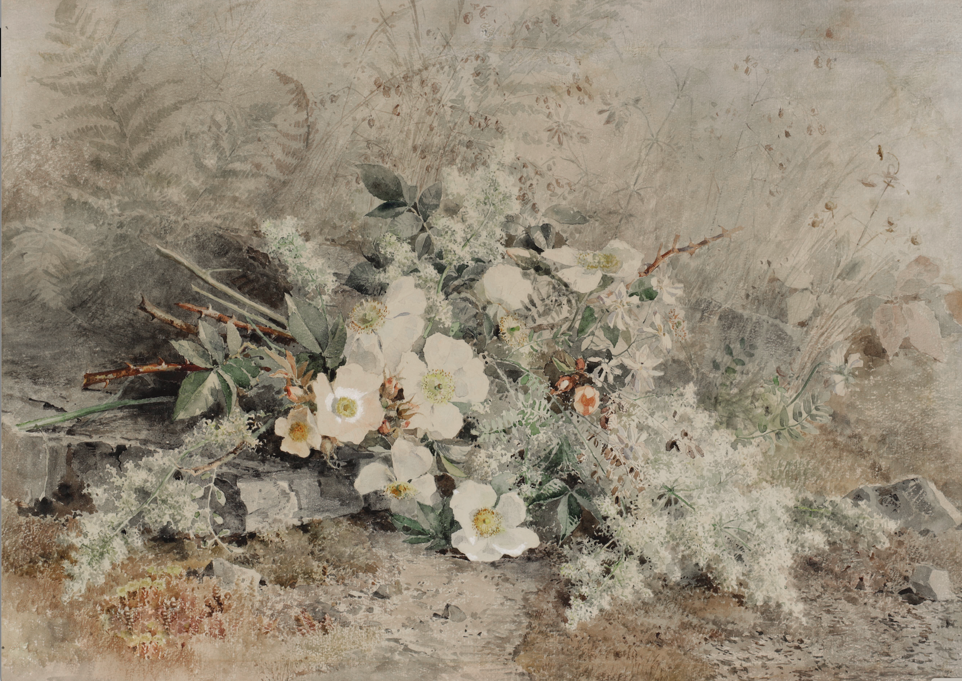Vintage Still Life Print | Cosmos