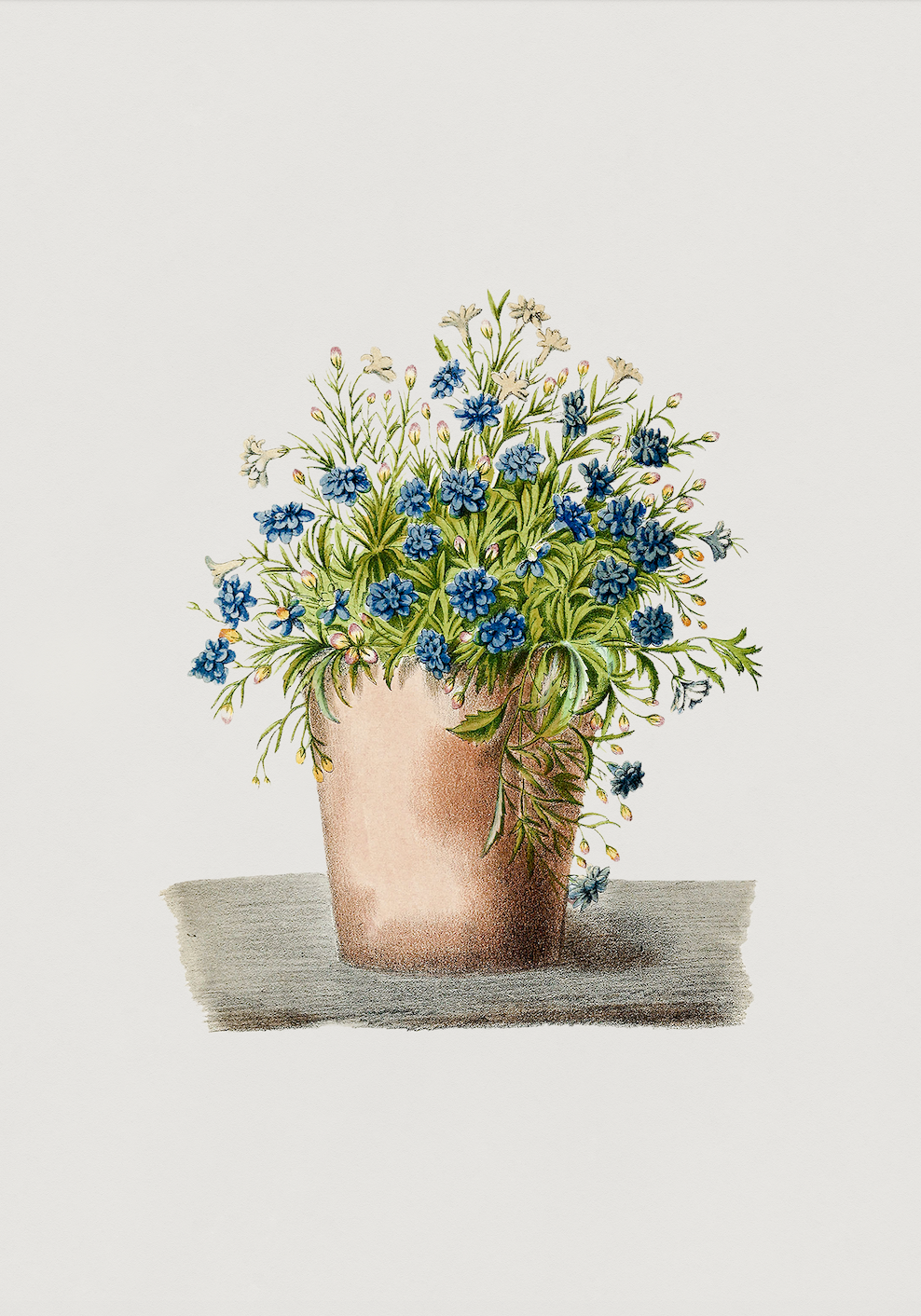 Vintage Still Life Print | Blue Floral
