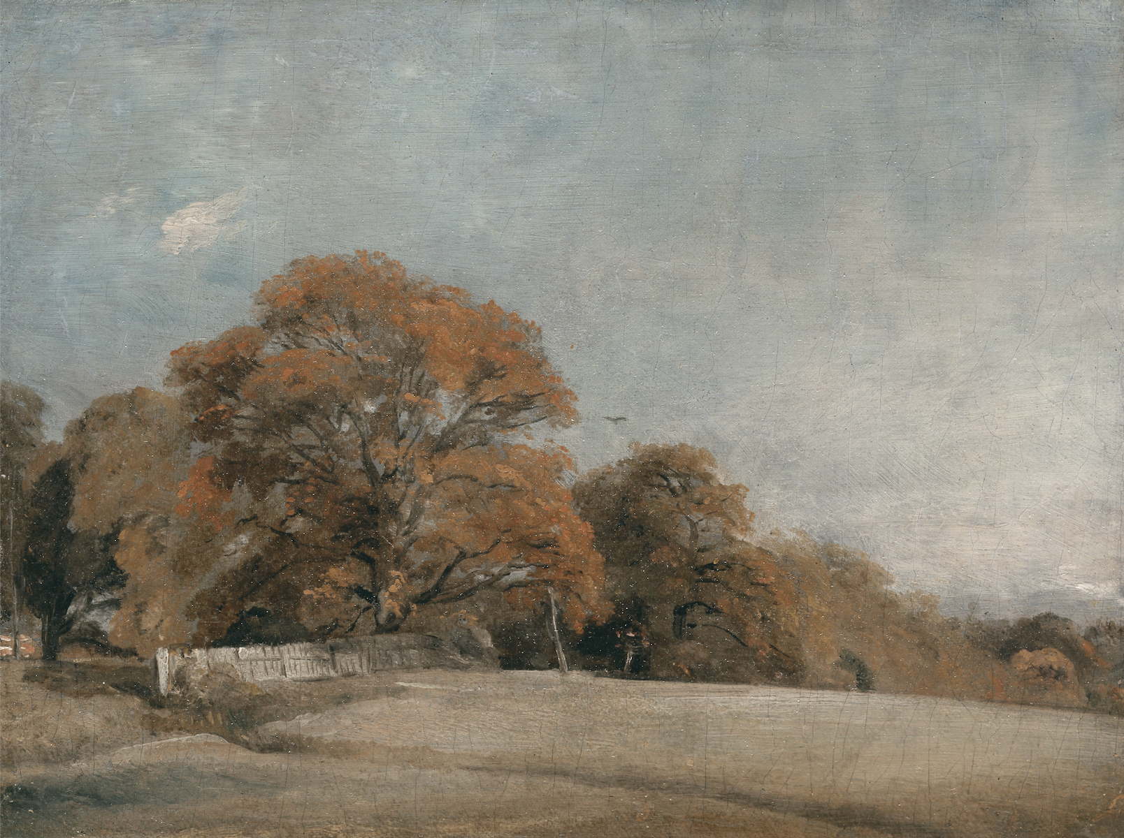 Vintage Landscape Print | Autumn Oak