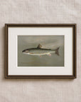 Vintage Seascape Print | Speckled Fish