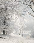 Vintage Winter Landscape Print | Snowy Path