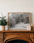 Vintage Landscape Print | Winter Trees