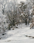 Vintage Landscape Print | Winter Trees