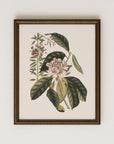 Vintage Botany 0.40