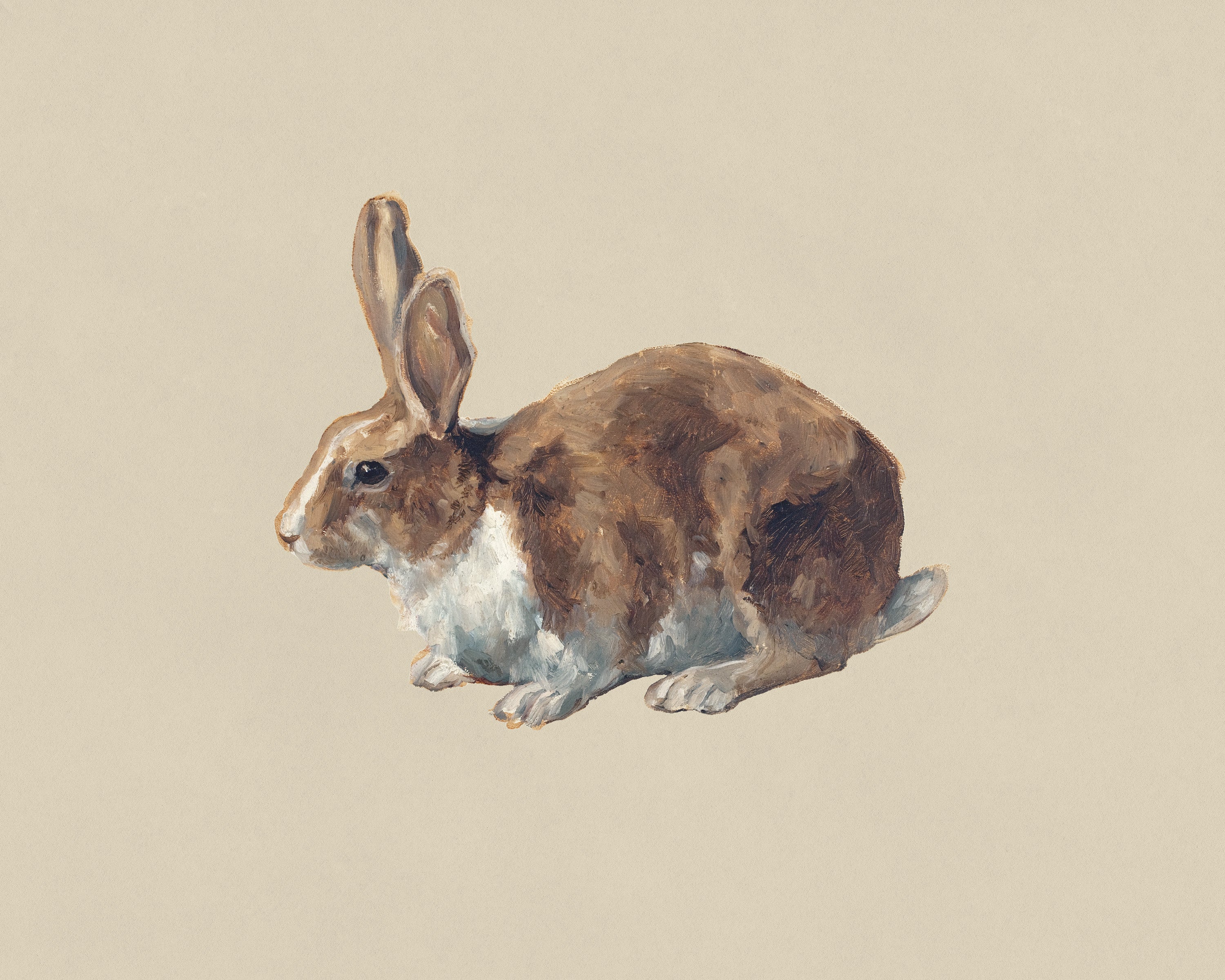 Vintage Still Life | Bunny