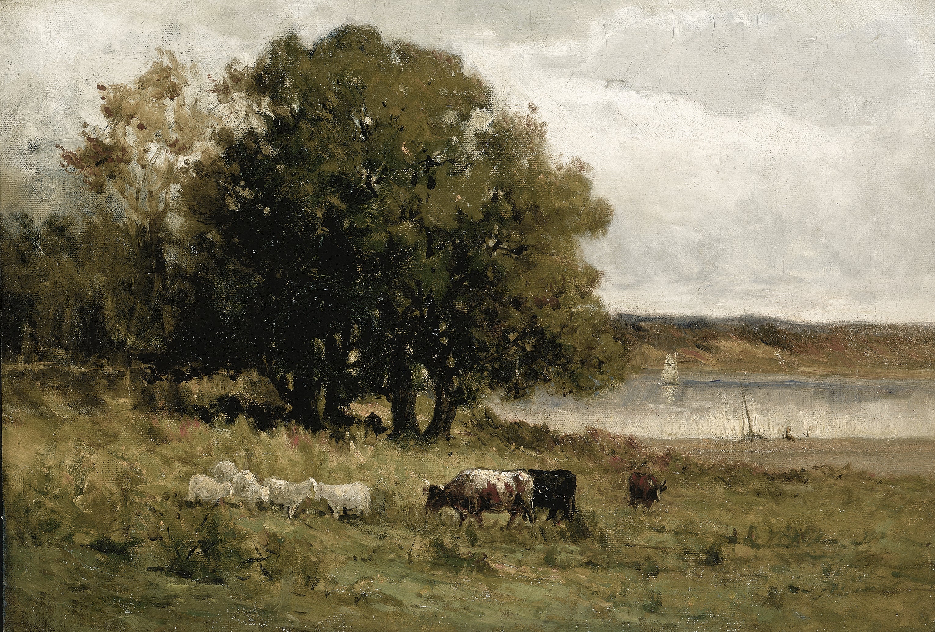 Vintage Landscape | Cow Fields