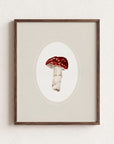 Mushroom Fine Art Print