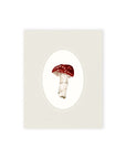 Mushroom Fine Art Print