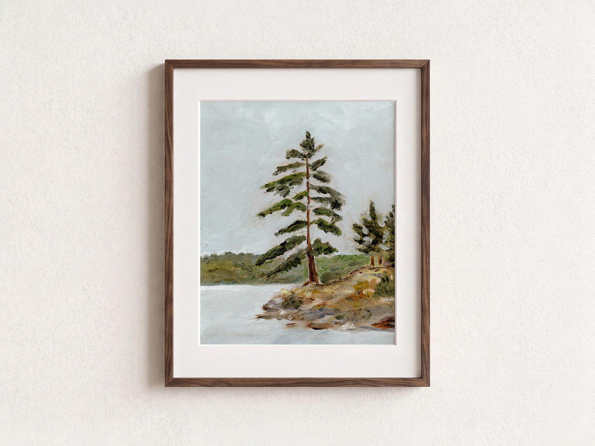 Muskoka Tree Fine Art Print