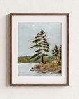 Muskoka Tree Fine Art Print