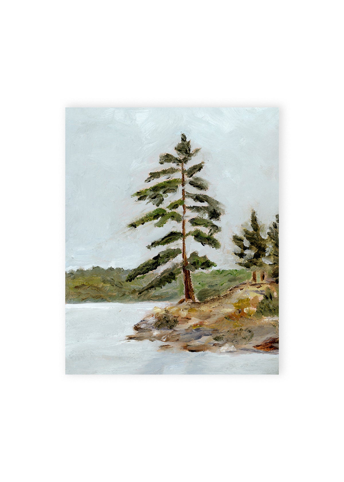 Muskoka Tree Fine Art Print