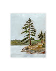 Muskoka Tree Fine Art Print
