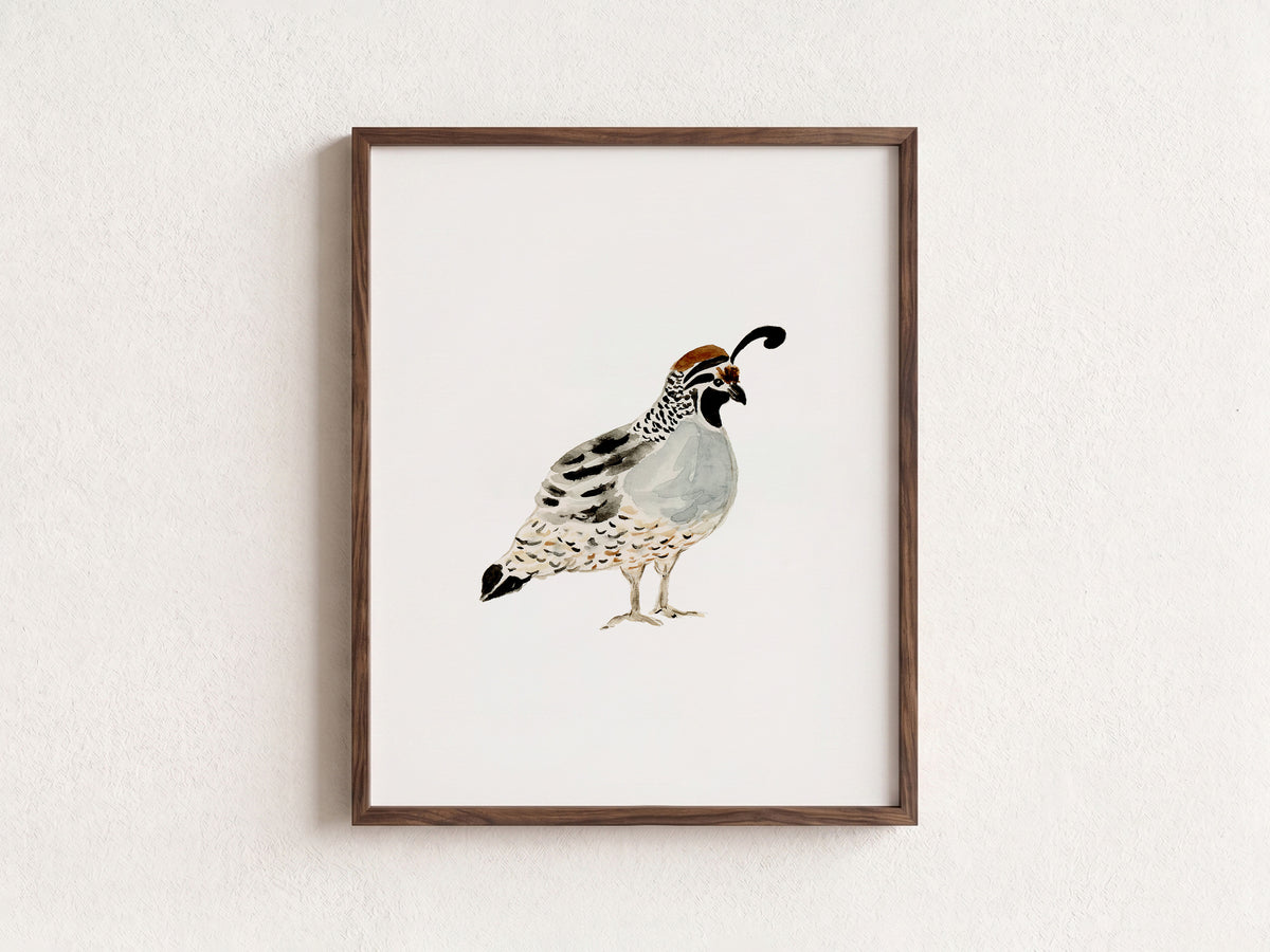 Quail Watercolour Wall Art Print