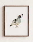 Quail Watercolour Wall Art Print