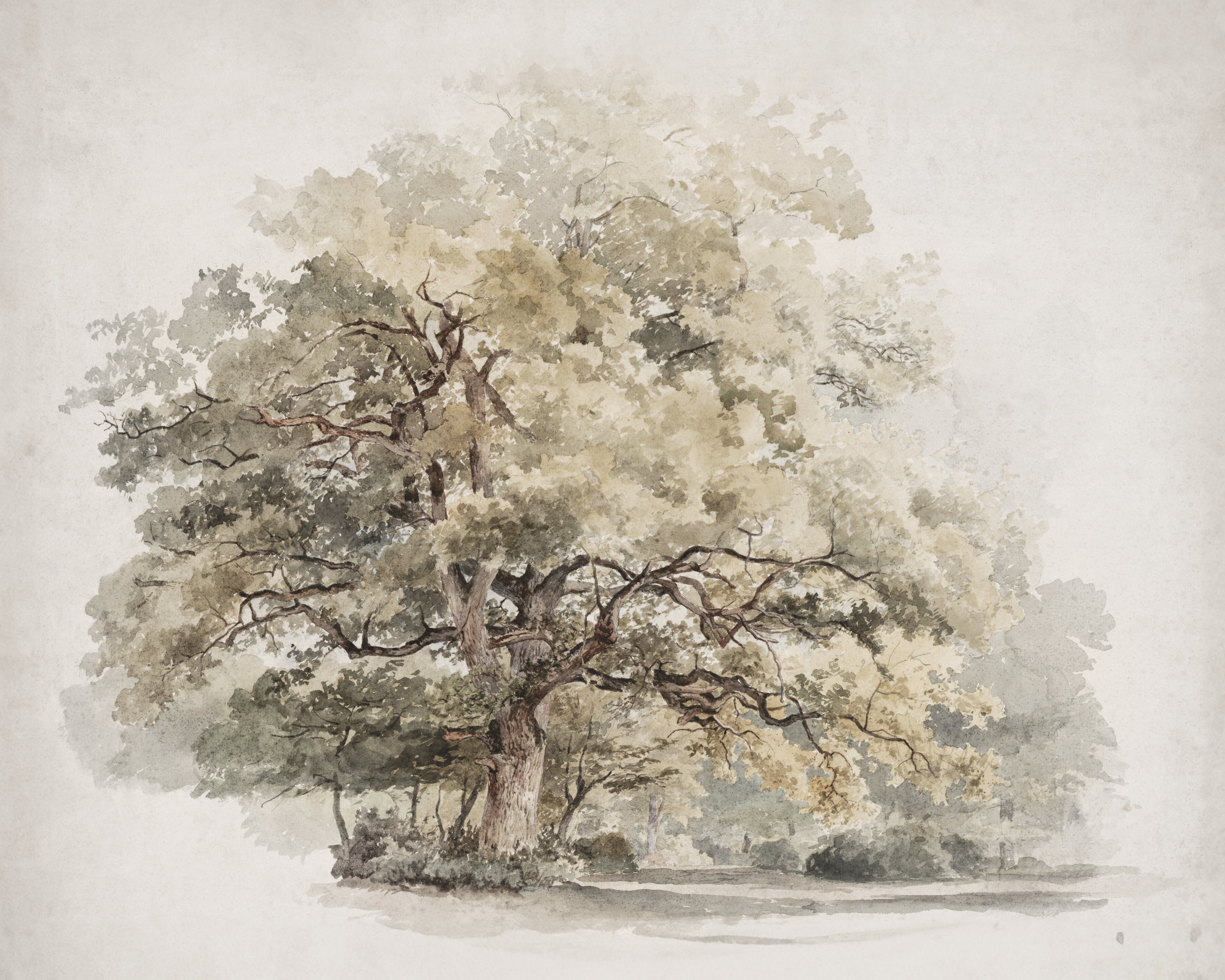 Vintage Landscape Print | Old Tree