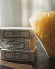 French Bar Soap with Natural Sea Sponge