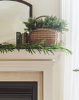 Norfolk Pine Garland