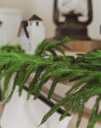 Norfolk Pine Garland