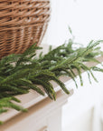 Norfolk Pine Garland