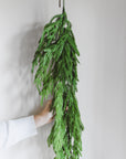 Norfolk Pine Garland